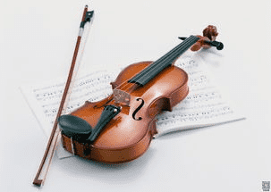 如何安装小提琴，如何在新小提琴上安装marzips等