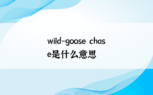 wild-goose chase是什么意思