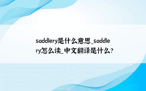 saddlery是什么意思_saddlery怎么读_中文翻译是什么？