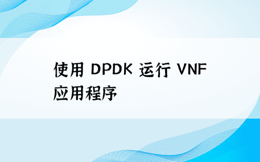 使用 DPDK 运行 VNF 应用程序