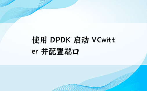 使用 DPDK 启动 VCwitter 并配置端口
